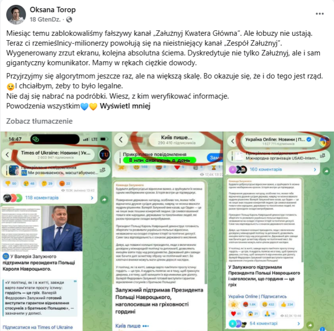 Doradczyni Walerija Załużnego ds. mediów dementuje prawdziwość przekazu (tłumaczenie posta maszynowe)
