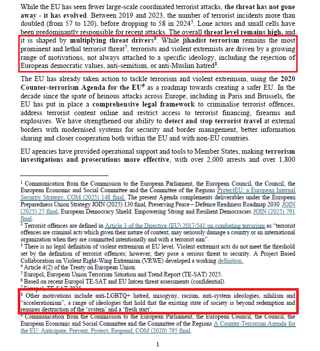 Fraza "anty-LGBTQ+" pada jedynie w przypisie unijnej strategii bezpieczeństwa