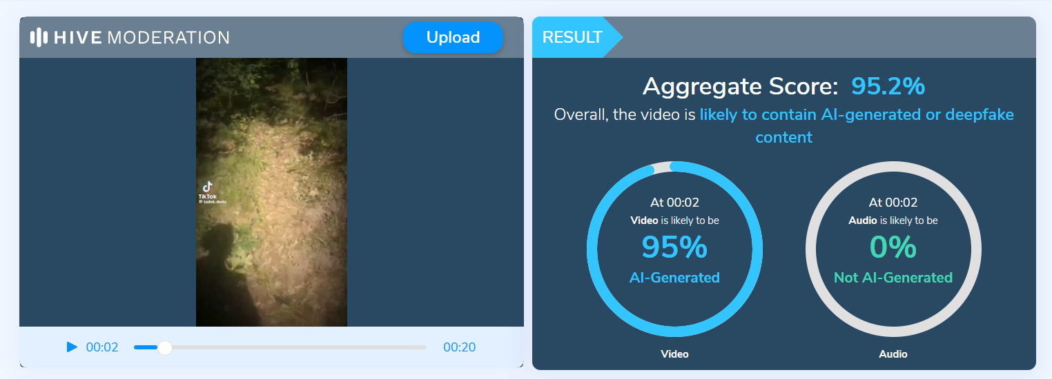Fragmenty nagrania z widocznym cieniem są wskazówką, że nagranie może nie być prawdziwe