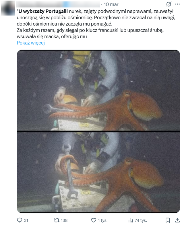Opowieść o "pomocnej ośmiornicy" w serwisie X wyświetlono ponad 70 tys. razy 