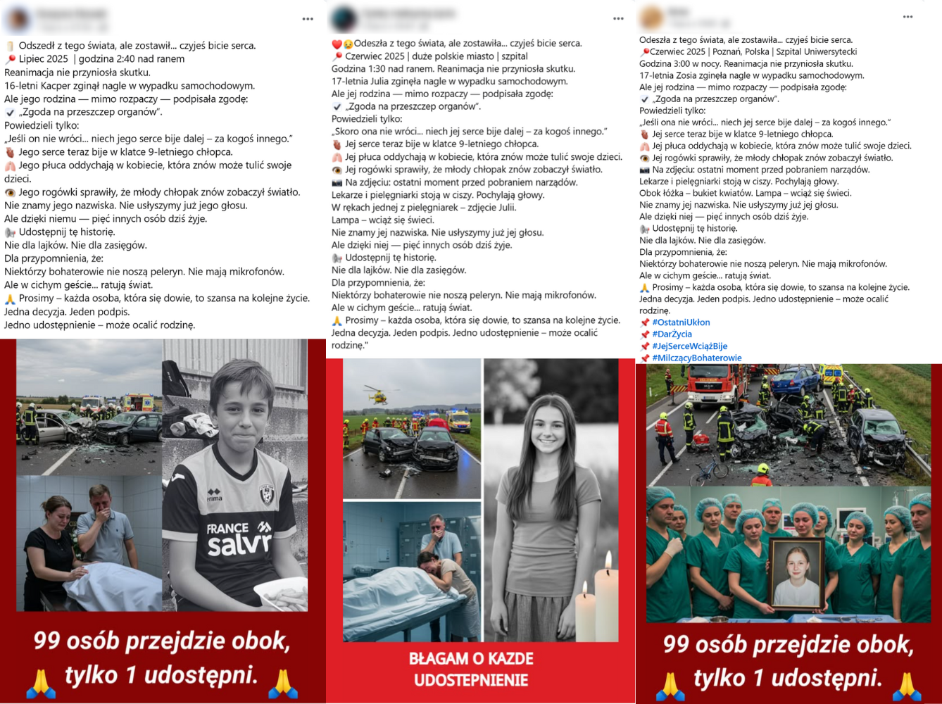 W kolejnych wpisach z fałszywą historią zmieniane są jedynie wiek, imię i ilustracje