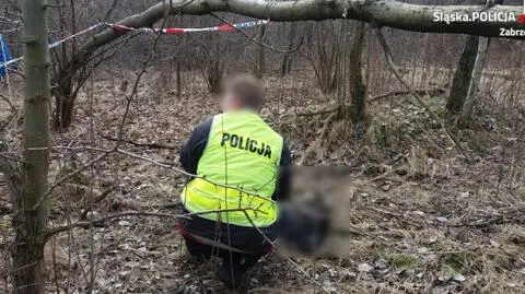 "Nie mieliśmy takiej sytuacji". Fake newsy o śmierci dzieci