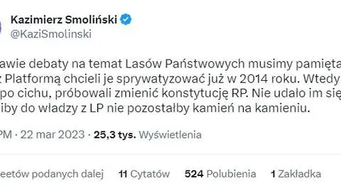 Politycy PiS: "PO chciała sprywatyzować lasy". Jak było naprawdę?