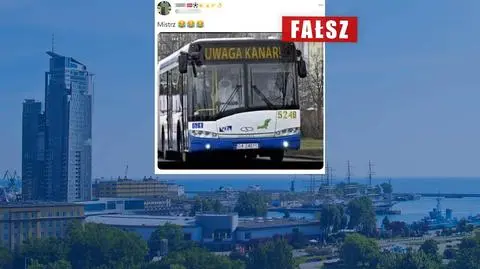 Hasło "Uwaga kanar!" na autobusie w Gdyni? Przewoźnik zaprzecza, my wyjaśniamy