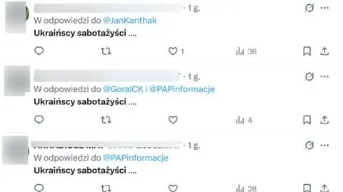 "Ukraińscy sabotażyści" wpisywał pod postami polityków jeden z użytkowników X