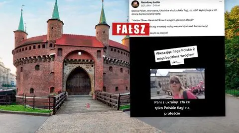Ukrainka była "zła, że tylko polskie flagi na proteście"? Co naprawdę pokazuje ten film