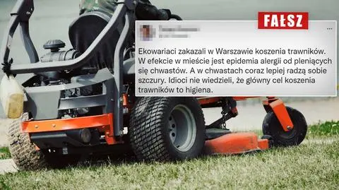 W Warszawie "zakazali koszenia trawników"? "Nie ma czegoś takiego"