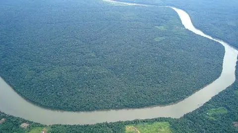 Czy wilgotne lasy mogą płonąć? Tak, pożar amazońskich "płuc Ziemi" jest na to dowodem