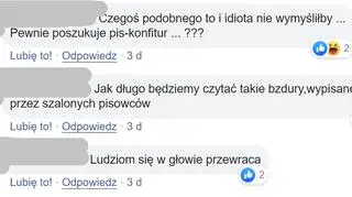 Komentarze internautów