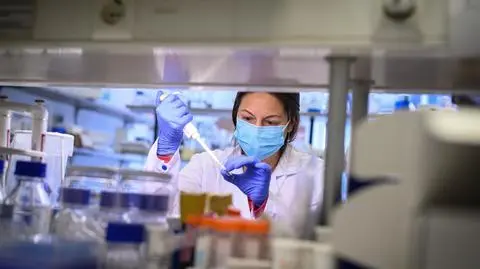 Im więcej testów, tym więcej wykrytych zakażeń? Analiza