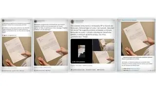 Пости з фотографіями фальшивого листа з посольства