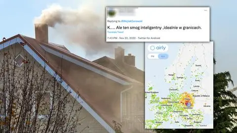 Smog "patriotycznie trzyma się granic"? O co chodzi z tą mapą