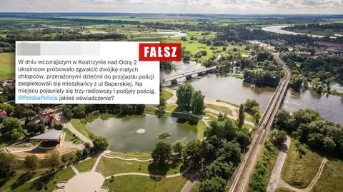 Przekaz o Ukraińcach, którzy "próbowali zgwałcić małych chłopców" - zaprzeczają policja, władze i mieszkańcy