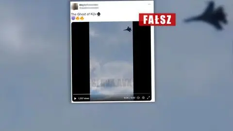 Rosyjski samolot strącony przez ukraiński? Nie, to symulacja komputerowa