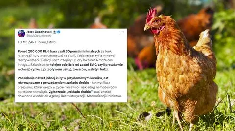 200 tys. zł kary za brak rejestracji kury w przydomowej hodowli? To nieprawda