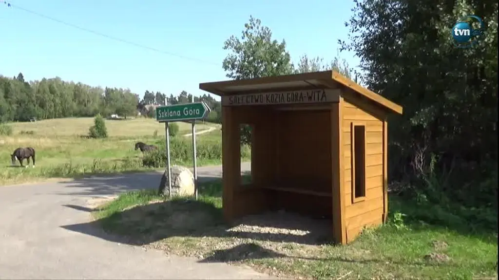 Niewiele samorządów skorzysta z dotacji na reaktywację połączeń autobusowych