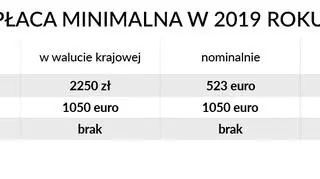 Płaca minimalna w wartościach nominalnych i PPS