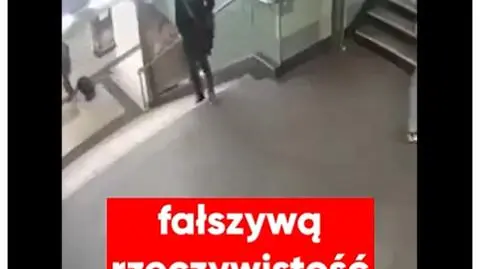 Posłanki PiS rozsyłają filmik, że na Lampedusie imigranci "rozwalają, co się da". A to fake news