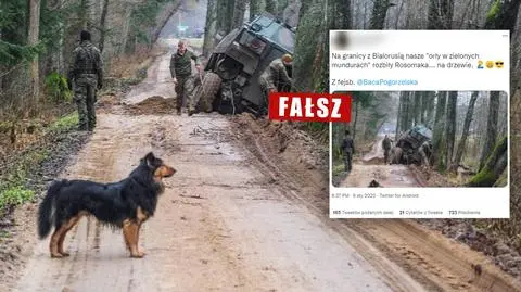 "Orły w zielonych mundurach rozbiły rosomaka na drzewie"? Sprawdziliśmy