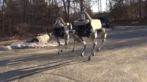 Internauci współczuli bitemu robotowi, który okazał się komputerową animacją