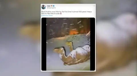 W Arabii Saudyjskiej pierwszy raz od stu lat spadł śnieg? To nieprawda