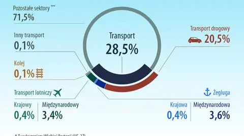 Horała broni samolotów i mówi o "paru procentach emisji". A co to znaczy? 