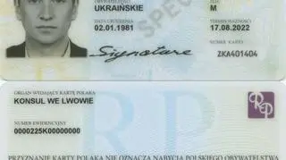 Wygląd Karty Polaka
