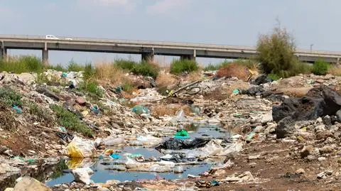 Przestępstwa przeciwko środowisku: jak ich przybywa, które dominują