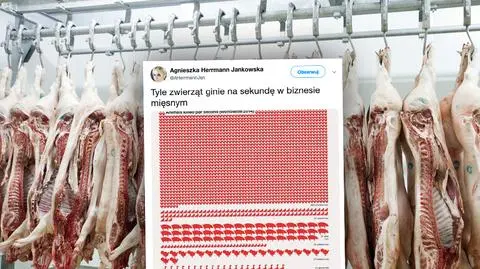 Na świecie co sekundę 2 tys. kurcząt trafia na ubój, w Polsce co minutę