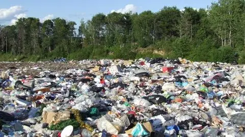 Import odpadów do Polski: więcej za rządów PO-PSL czy PiS?