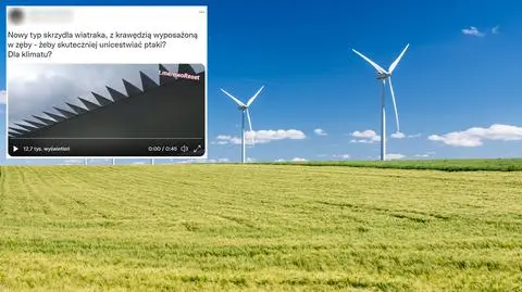 Krawędź skrzydła wiatraka "wyposażona w zęby" to zagrożenie dla ptaków? Wyjaśniamy