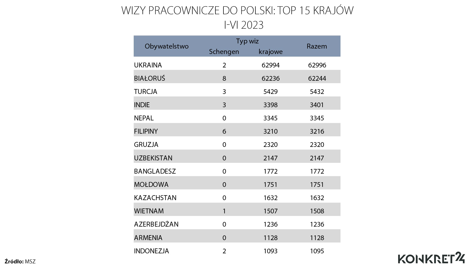 Wizy pracownicze wydane w 2023 roku (styczeń-czerwiec)