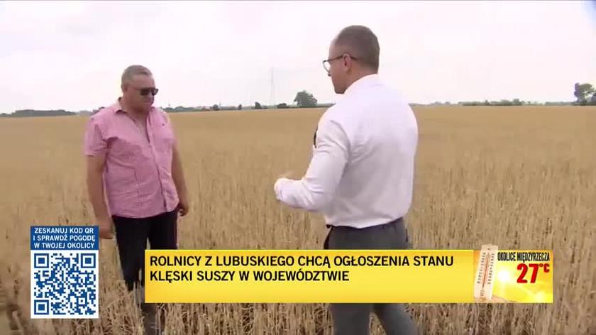 Rolnicy z województwa lubuskiego chcą ogłoszenia stanu suszy.mp4