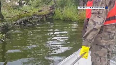 Skąd tzw. złote algi mogły się wziąć w Odrze? Eksperci: trop prowadzi do wód kopalnianych