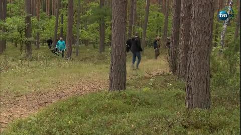 Co z polską energetyką? Wyborcze obietnice komitetów