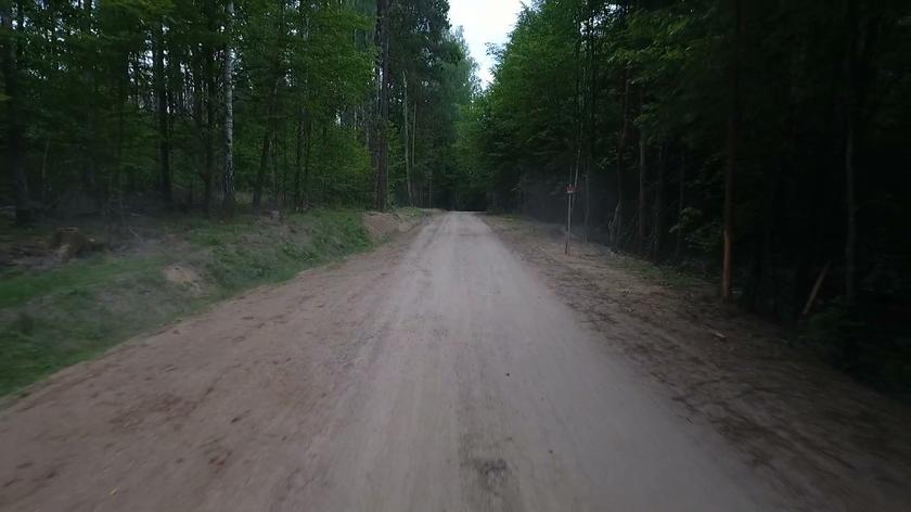 Ekolodzy biją na alarm. Lasy Państwowe chcą utwardzić drogę w Puszczy Białowieskiej