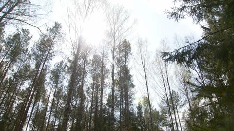 Susza w Polsce. Alert hydrologów nadal obowiązuje